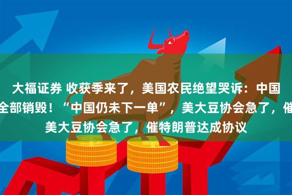 大福证券 收获季来了，美国农民绝望哭诉：中国不买了，我只能全部销毁！“中国仍未下一单”，美大豆协会急了，催特朗普达成协议
