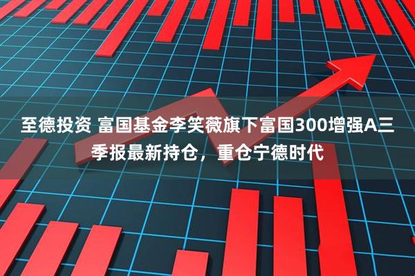 至德投资 富国基金李笑薇旗下富国300增强A三季报最新持仓，重仓宁德时代